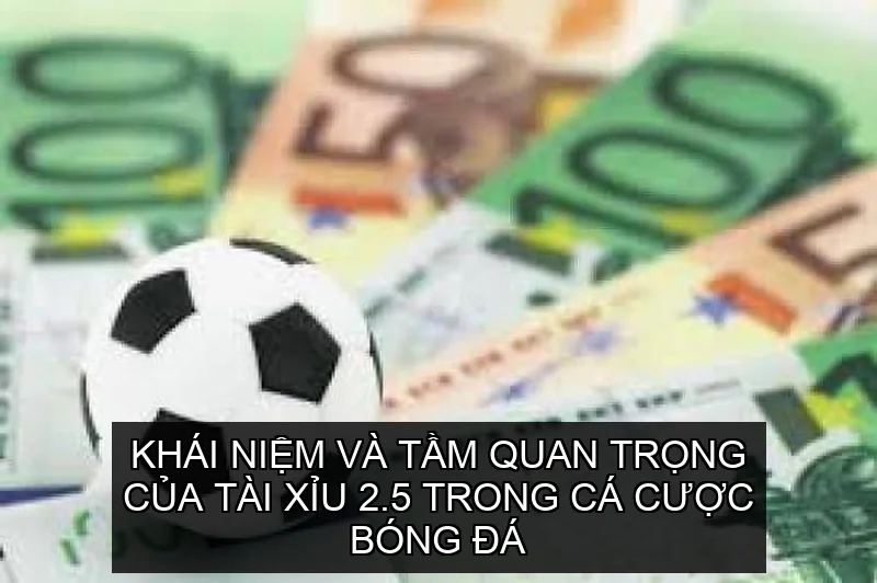 Khái niệm và tầm quan trọng của bí quyết soi kèo tài xỉu 2.5 