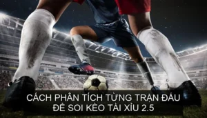 Cách phân tích từng trận đấu bí quyết soi kèo Tài Xỉu 2.5