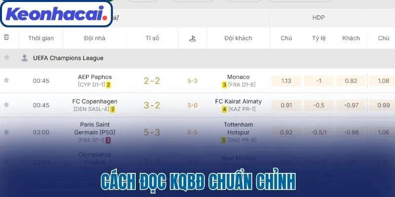 Cách đọc KQBĐ chuẩn chỉnh