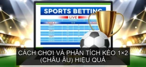 Cách chơi và phân tích Kèo 1×2 (Châu Âu) hiệu quả