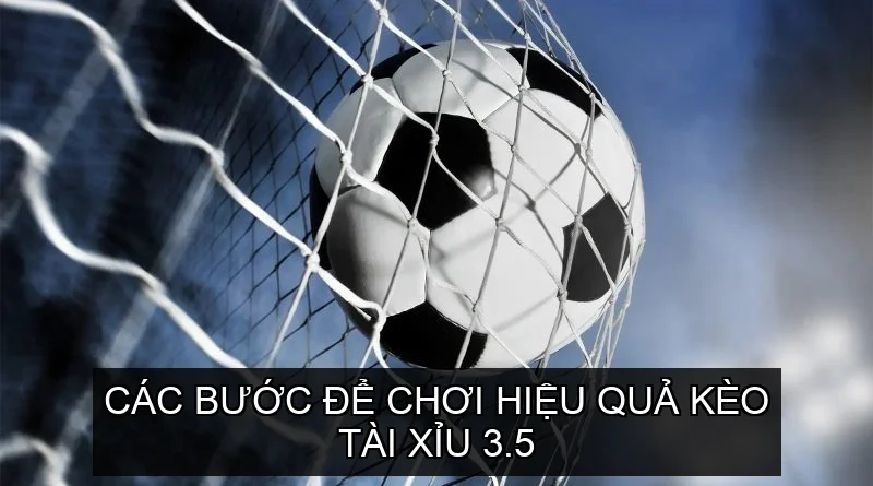 Các bước để chơi hiệu quả Kèo Tài Xỉu 3.5